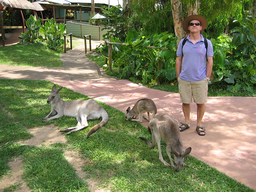 063 Rainforestation.jpg